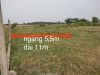 ban-dat-vi-bang-gia-re-chi-420-trieu-duong-kenh-trung-uong-xa-vinh-loc-b-binh-chanh - ảnh nhỏ  1