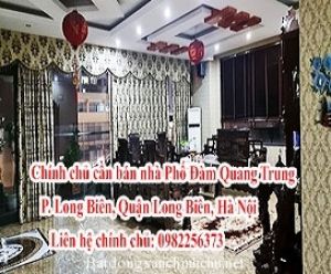 Chính chủ cần bán nhà Phố Đàm Quang Trung, Phường Long Biên, Quận Long Biên, Hà Nội